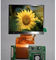 وحدة LQ035NC111 Innolux TFT LCD مقاس 3.5 بوصة مع وضع العرض الانتقالي