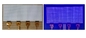 12.3 بوصة LCD / LED Module AM الضوء المحلي مخصص 64 * 24 بناء السد