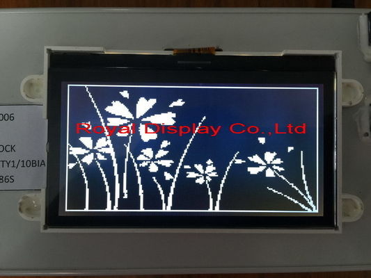 تخصيص STN / FSTN 192 * 64 نقطة بحجم COG Graphic LCD وحدة أحادية LCD خلفية بيضاء