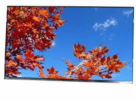 11.6' 1920*1080 تيانما FHD SFT TFT LVDS وحدات LCD مع اللمس